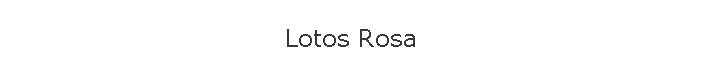 Lotos Rosa