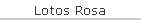 Lotos Rosa